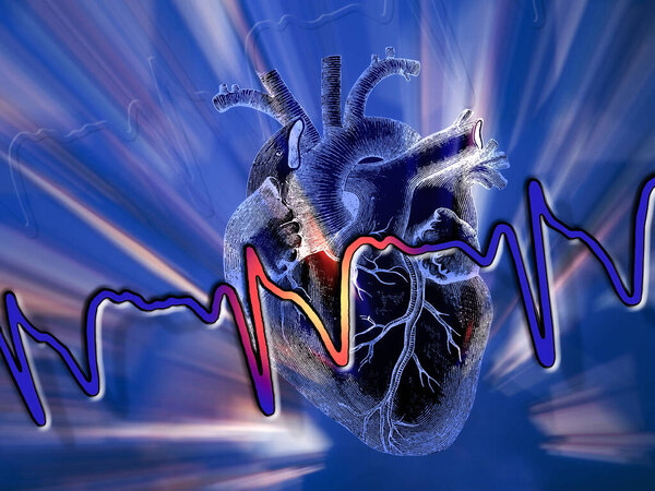 Cardiology - Human heart and electrocardiograph