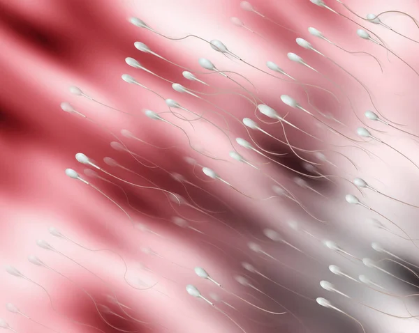 Rappresentazione Digitale Degli Spermatozoi Umani Sperma — Foto Stock