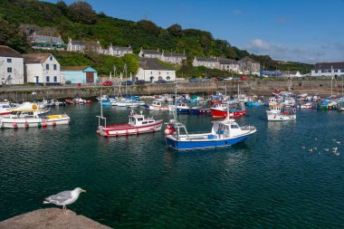 Birleşik Krallık 'ın Cornwall kentindeki Porthleven' deki pitoresk liman.