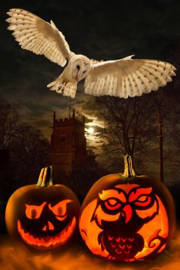 Halloween - Spooky Pumpkins - Owl clipart