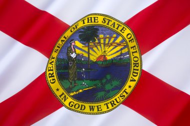 Florida - Amerika Birleşik Devletleri bayrağı