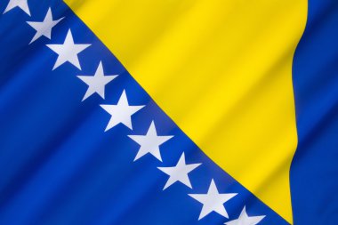 Bosna-Hersek Bayrağı