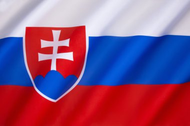 Slovakya bayrağı