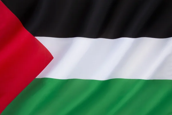 Flag of Palestine — Stock Photo, Image