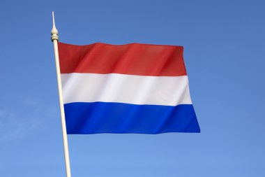Hollanda bayrağı
