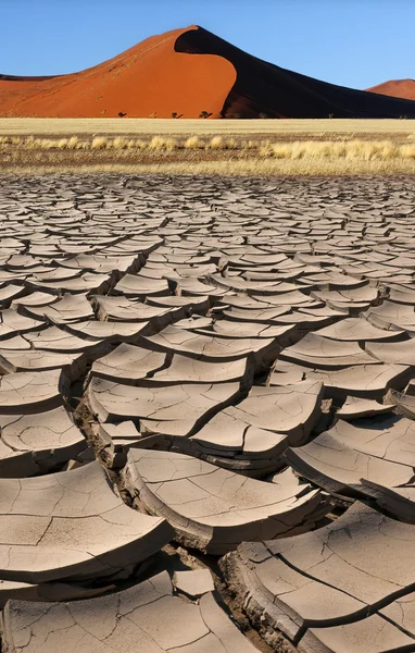 Sossusvlei - Désert de Namib - Namibie — Photo