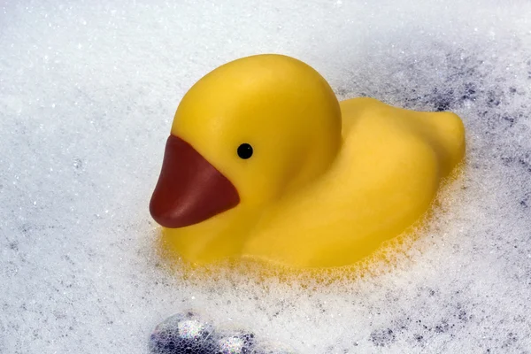 Pato de goma en una bañera — Foto de Stock