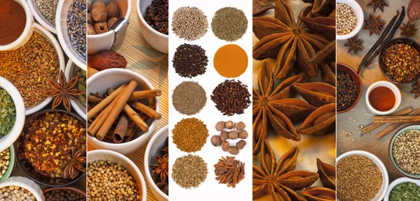 Cooking Spices - Flavoring and Seasoning — Stock Photo, Image