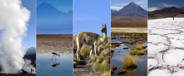 Atacama Çölü - Şili - Güney Amerika