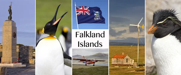 Falkland Adaları - Islas Malvinas — Stok fotoğraf