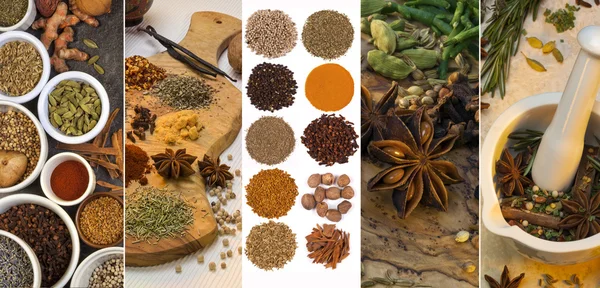 Cooking Spices - Flavoring and Seasoning — Stock Photo, Image
