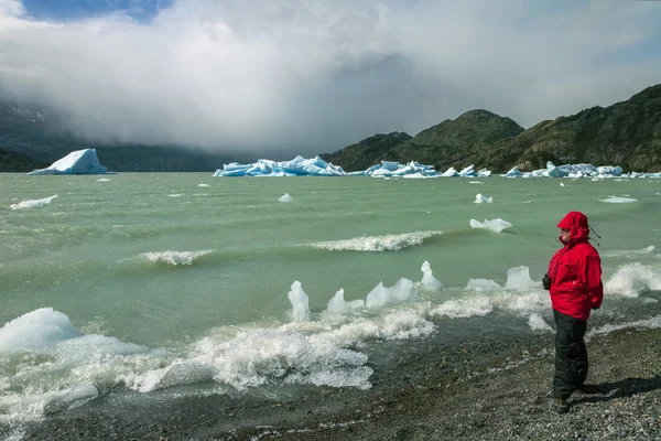 Eisberge im grauen See - patigonia - chili — Stockfoto