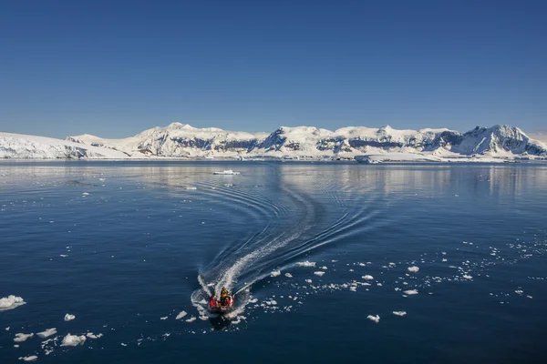 Ανταρκτική - Cuverville Bay - τουρίστες περιπέτεια — Φωτογραφία Αρχείου