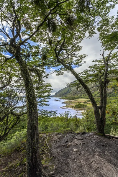 Tierra del fuego - Argentinië — Stockfoto