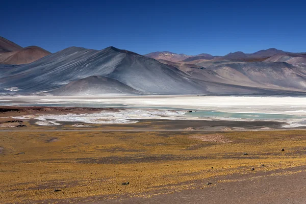 Alues Calientes - deserto di Atacama - Cile — Foto Stock