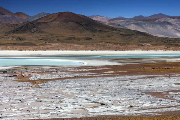 Artości Calientes - pustynia Atacama - Chile — Zdjęcie stockowe