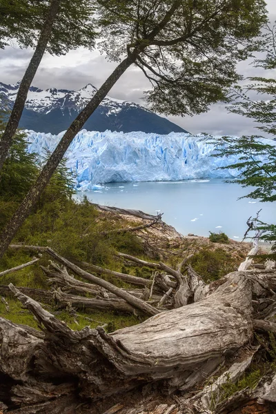 Перито-Морено - Патагония - Аргентина — стоковое фото