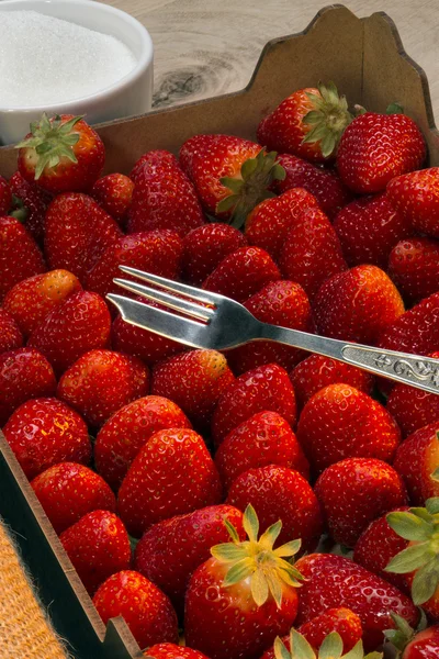 Nahrung - Obst - frische Erdbeeren Stockfoto