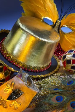 New Orleans - Mardi Gras - Amerika Birleşik Devletleri