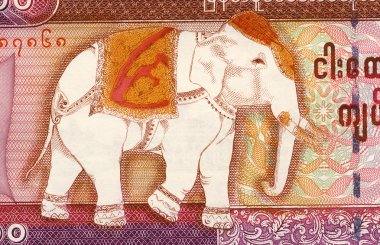 Birman banknot üzerinde fil ayrıntılı