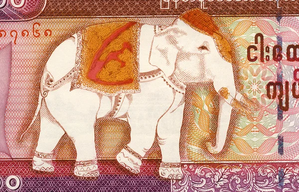 Détail des éléphants sur les billets de banque birmans — Photo