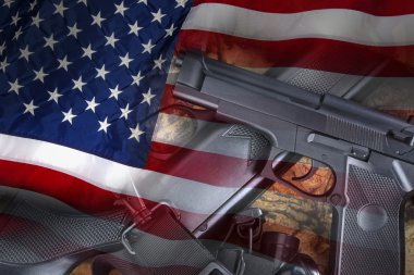 Silah - silah - Amerika Birleşik Devletleri
