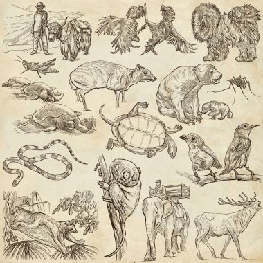 Animals - Freehand sketching, pack clipart