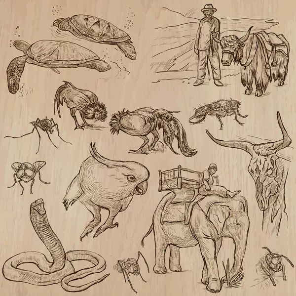 Animales - Paquete vectorial dibujado a mano — Archivo Imágenes Vectoriales