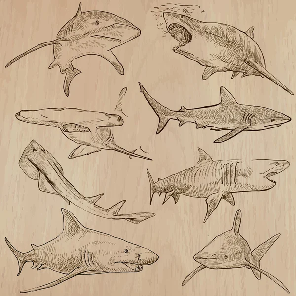 Žraloci - balík ručně kreslenou vektorové — Stockový vektor