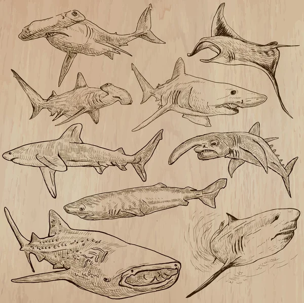 Sharks - Un paquet vectoriel dessiné à la main — Image vectorielle