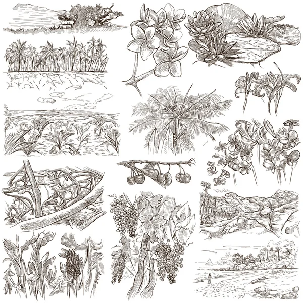 An hand drawn, freehand drawing, collection - Flowers — Stock Photo, Image