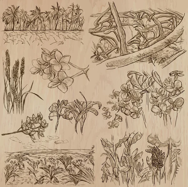 Flores - un paquete vectorial dibujado a mano . — Archivo Imágenes Vectoriales
