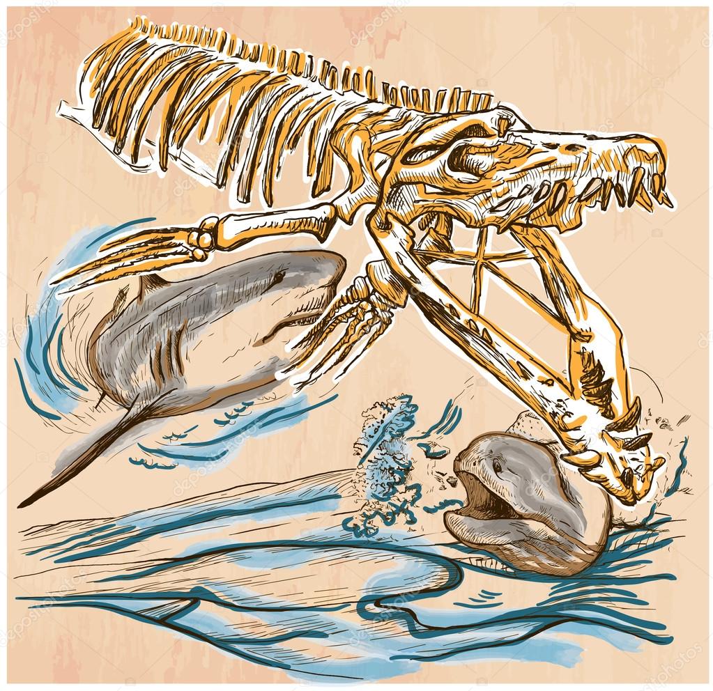 モササウルスストックベクター ロイヤリティフリーモササウルスイラスト Depositphotos モササウルスストックベクター ロイヤリティフリーモササウルスイラスト Depositphotos