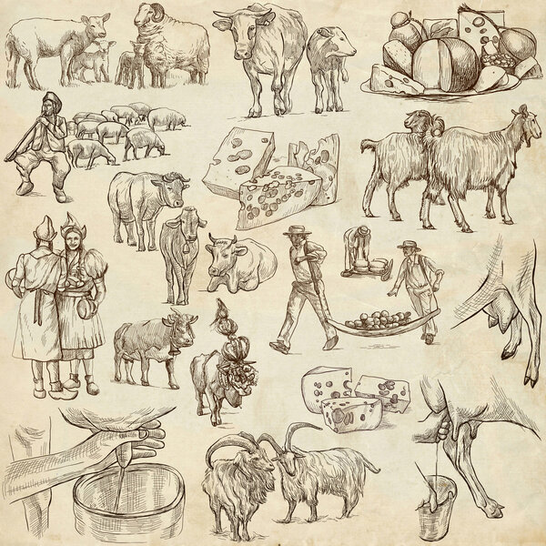 agriculture, cheese - hand drawn full sized pack