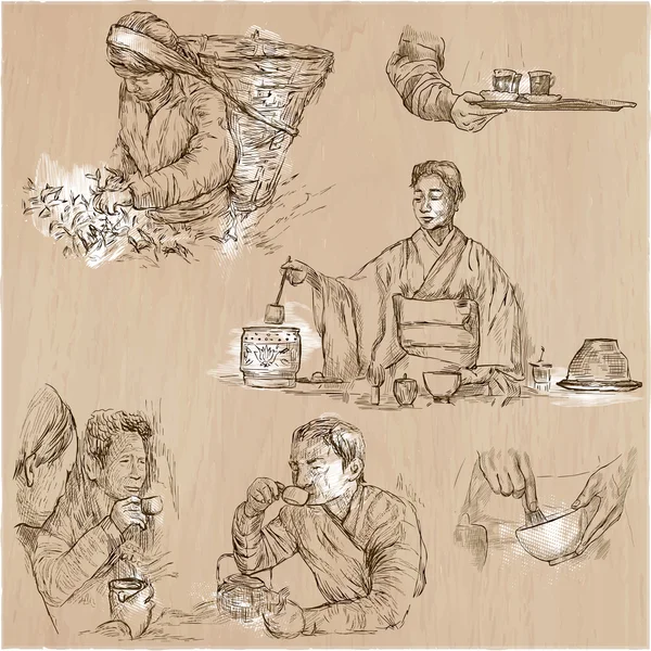 Traitement du thé. L'agriculture. Illustration vectorielle dessinée à la main . — Image vectorielle