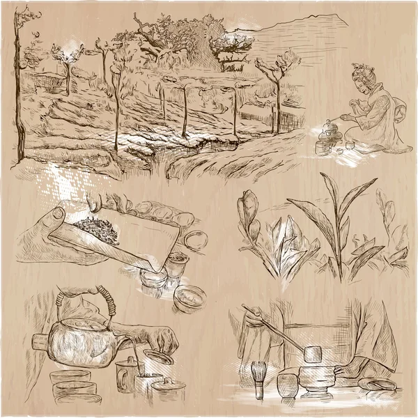 Procesamiento de té. Agricultura. Una ilustración vectorial dibujada a mano . — Archivo Imágenes Vectoriales