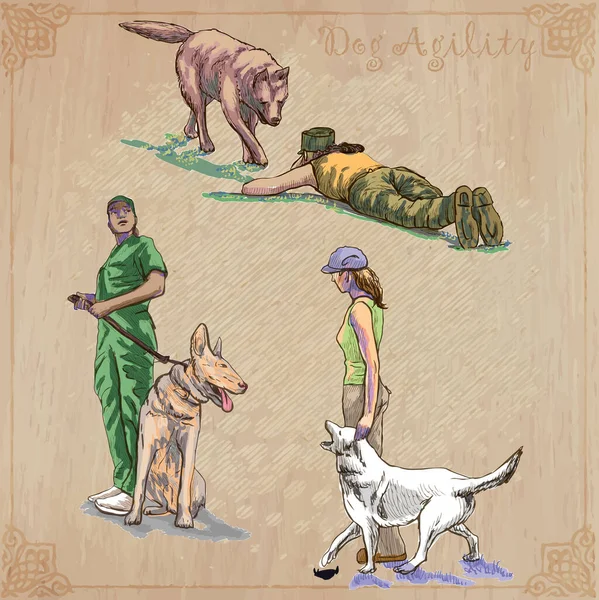 Kutyák Kutya Képzés Kézzel Rajzolt Vektorillusztrációk Gyűjteménye Szabadkézi Vonalrajzolás — Stock Vector
