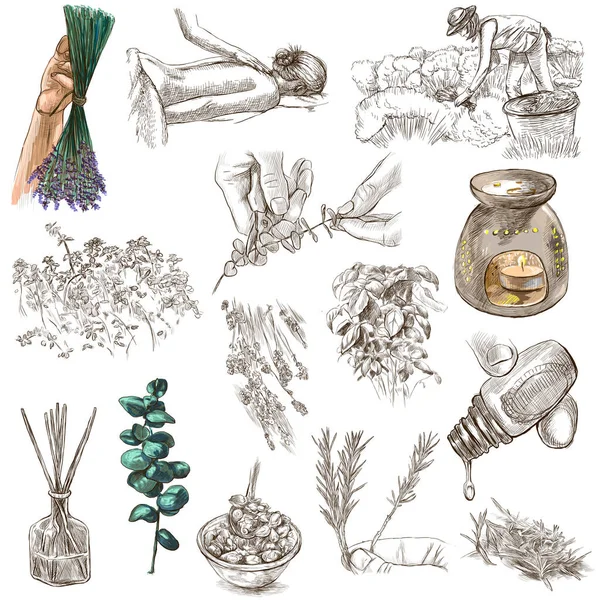 Bitkiler Temizlik Koku Cilt Bakımı Bir Çizimi Çizimi Koleksiyonu Tam — Stok fotoğraf