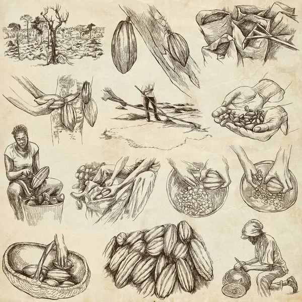ココア カカオ チョコレート 農家の生活 ココアの収穫と処理 手描きイラスト集 白を基調としたフルサイズの手描きイラストパック 古い紙にフリーハンドのスケッチのセット — ストック写真