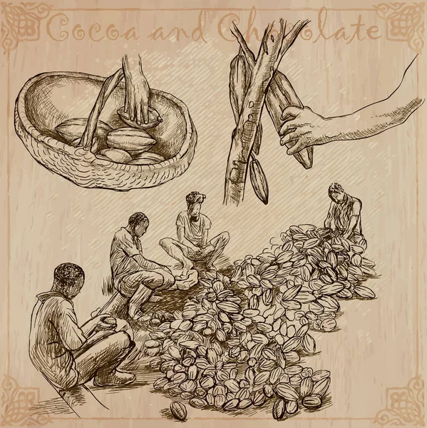 可可和巧克力 农民的生活 111 可可收获和加工 收集手绘插图 一组矢量插图 线条艺术 一套速写草图 — 图库矢量图片