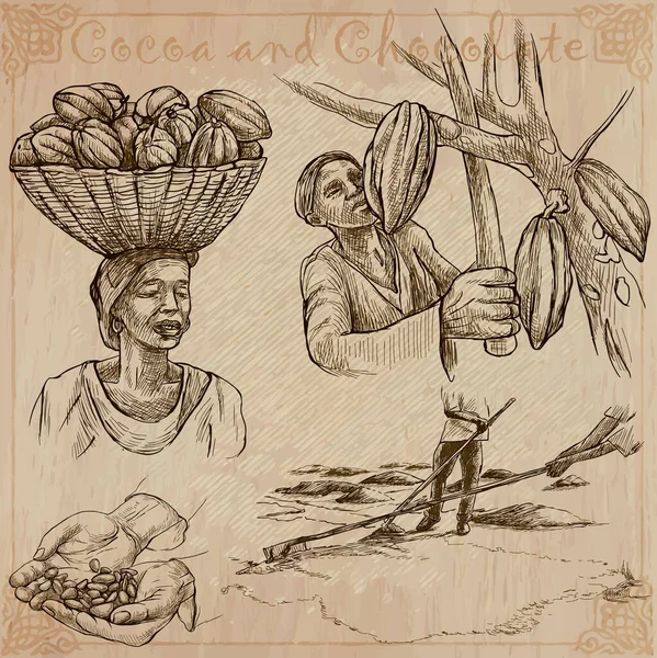 可可和巧克力 农民的生活 111 可可收获和加工 收集手绘插图 一组矢量插图 线条艺术 一套速写草图 — 图库矢量图片