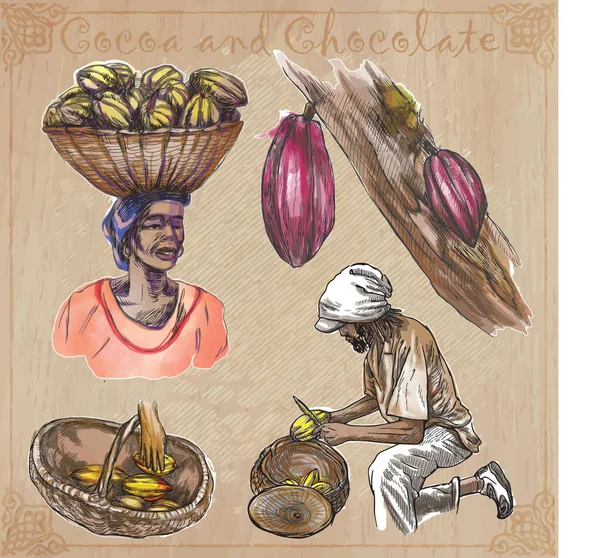 Cacao Cacao Chocolat Agriculture Vie Fermier Récolte Transformation Cacao Collection — Image vectorielle