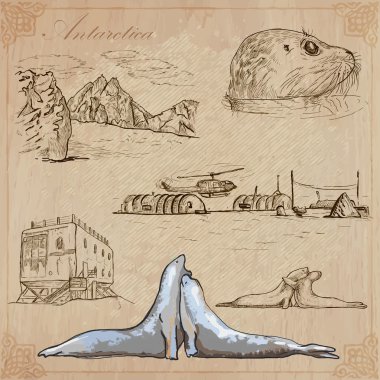 Antarktika: Dünya çapında seyahat. Vektör çizimler.