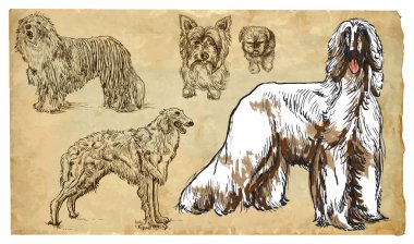 Hayvanlar, tema: Köpekler (bir ulusal hazine olarak) - vektör paketi