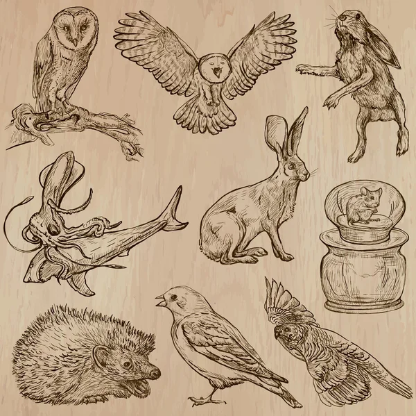 Animals around the World (parte 17). Paquete vectorial dibujado a mano . — Archivo Imágenes Vectoriales