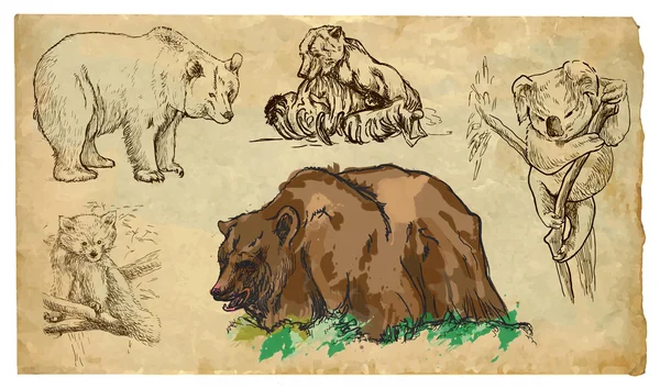 Animais, tema: BEARS - pacote vetorial desenhado à mão — Vetor de Stock
