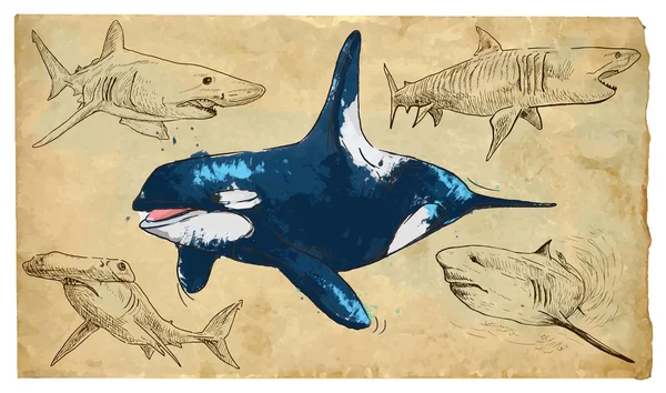 Animals, theme: SEA PREDATORS Stok Vektor Bebas Royalti