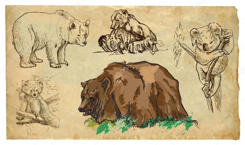 Animals, theme: BEARS - hand drawn vector pack