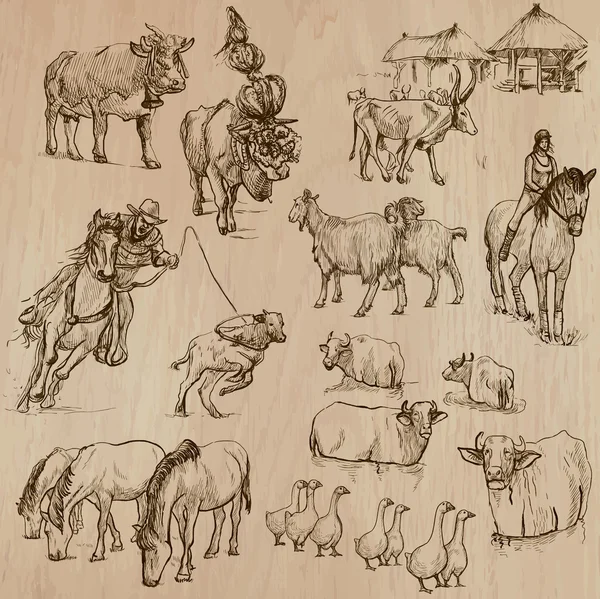 農場の動物。手描きのベクトル パック. — ストックベクタ
