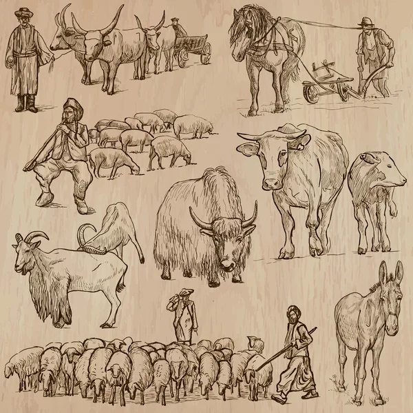 Animales de granja. Paquete vectorial dibujado a mano . — Vector de stock